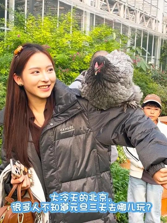 北京元旦去哪儿玩,来宠物鸡派对吧