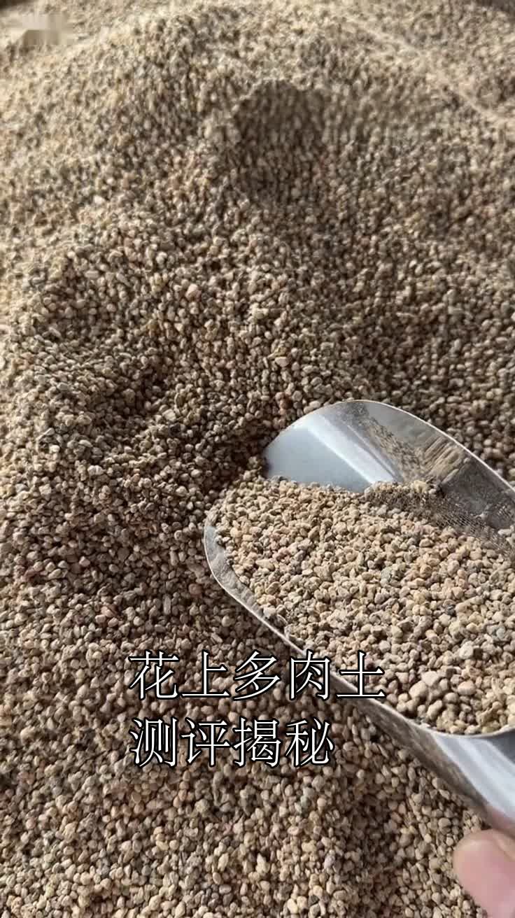 花上多肉土测评揭秘