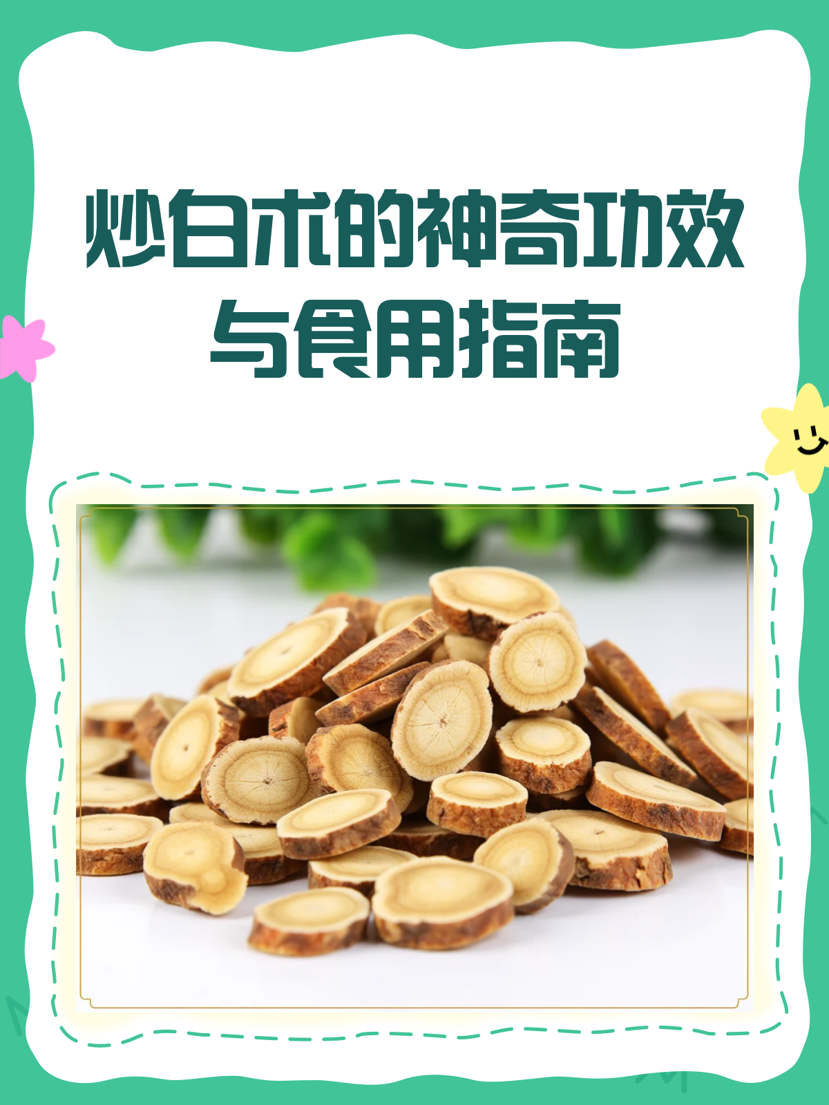 炒白术,健脾益气的中药宝藏