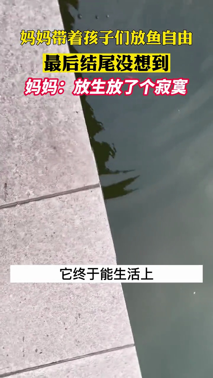 2月14日 陕西,小鱼:我谢谢你。万万没想到 惊不惊喜意不意外 悲伤的故事 海报新闻 被眼