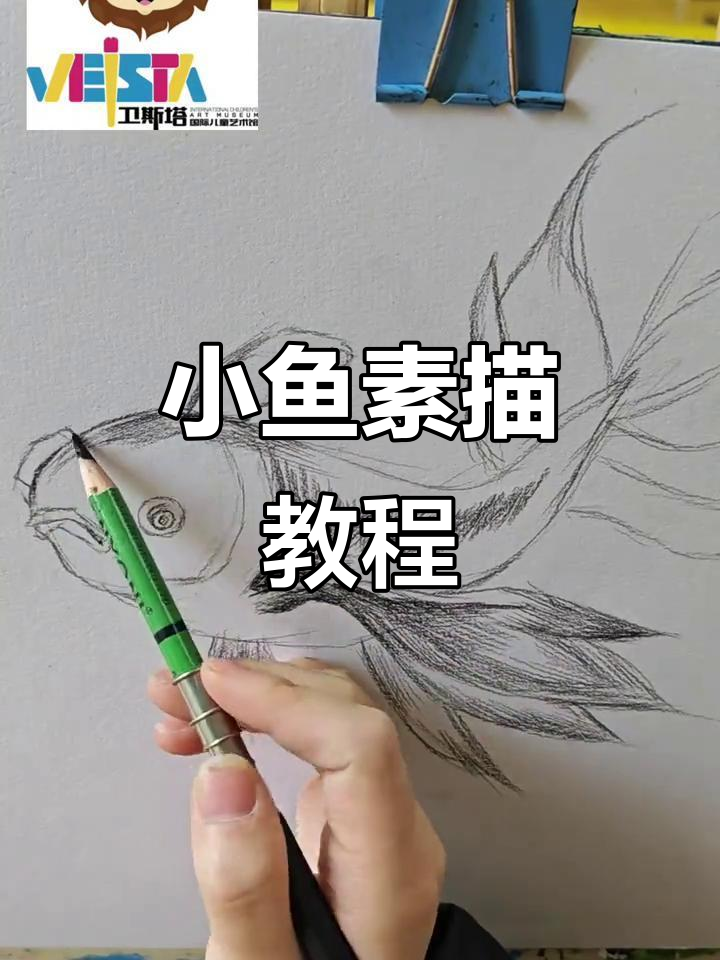 素描小鱼技巧：从轮廓到细节刻画，轻松掌握