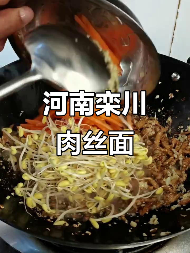栾川肉丝面，家常味十足！学会这招开饭店不愁