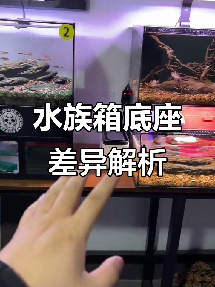 水族箱底座尺寸大揭秘,loft与普通款有何不同?
