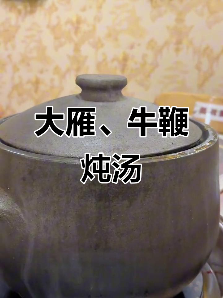 美洲雁苑铁锅炖大雁，老母鸡与牛鞭汤的完美搭配