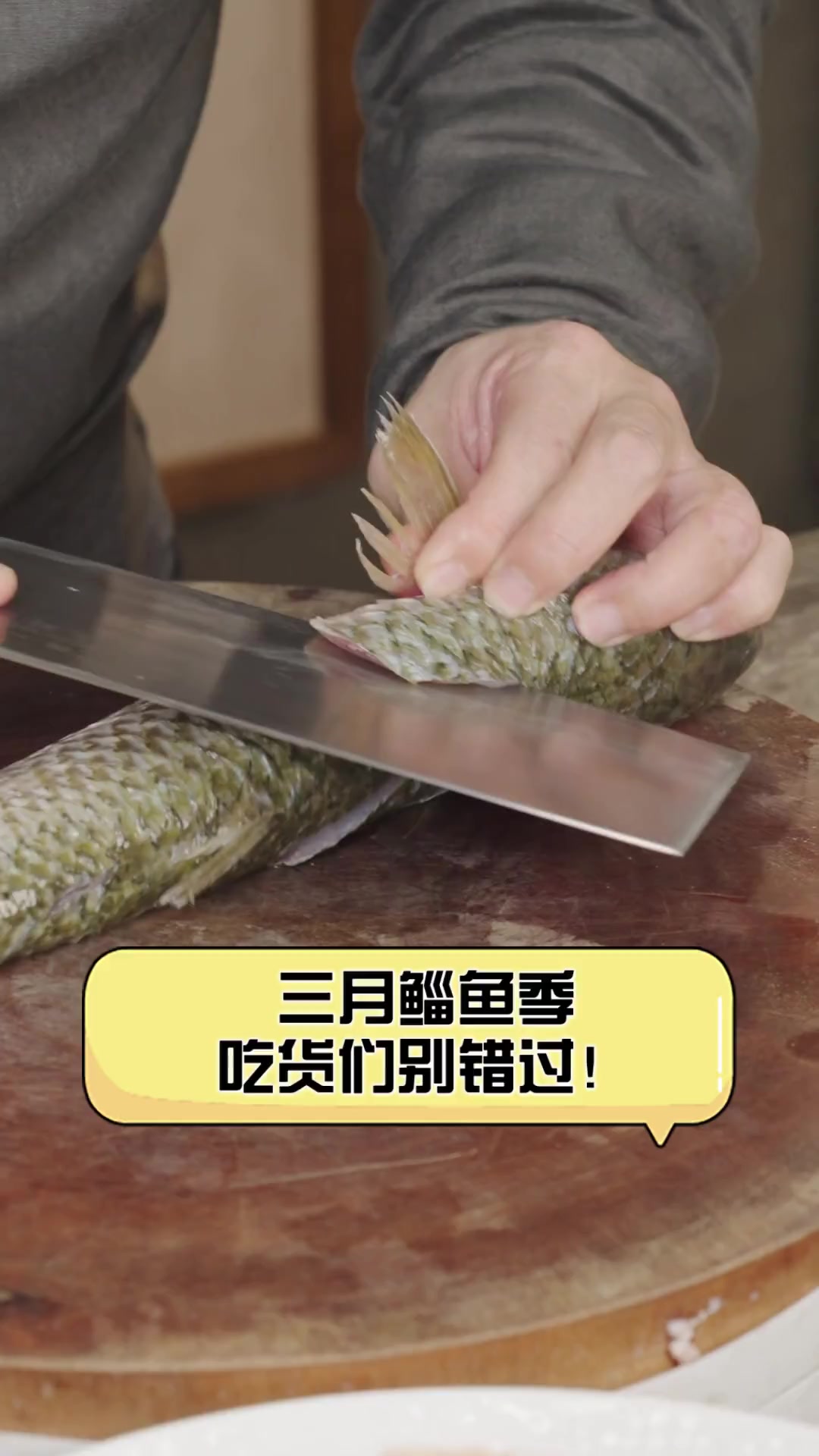 三月鲻鱼季,吃货们别错过!