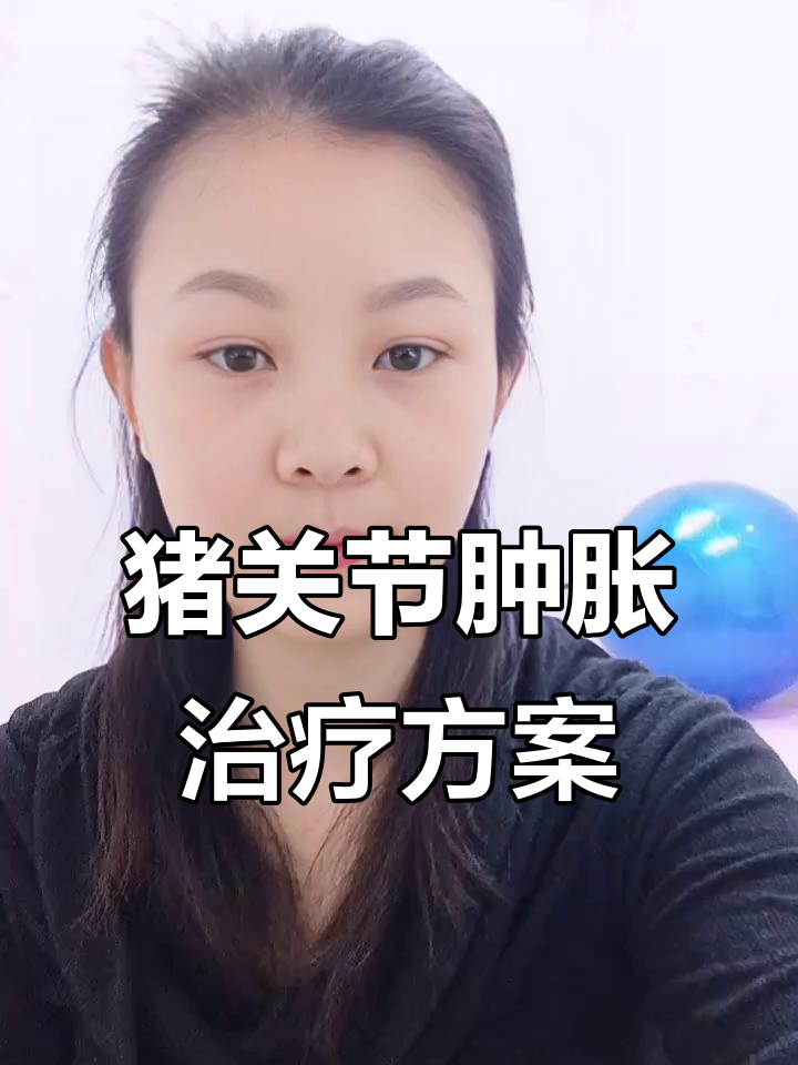 猪关节肿胀治疗全攻略：打针+外用药物效果更佳