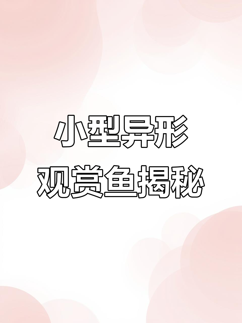 热带淡水观赏鱼:异形小型鱼的独特魅力