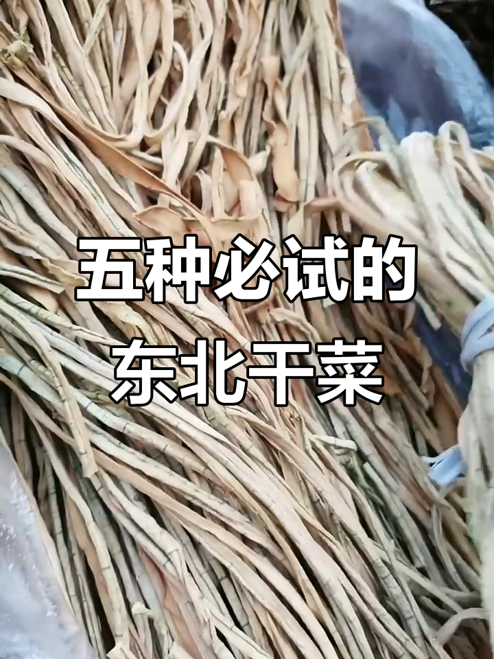 东北干菜大揭秘!晒干的土豆、西葫芦,炖肉更美味
