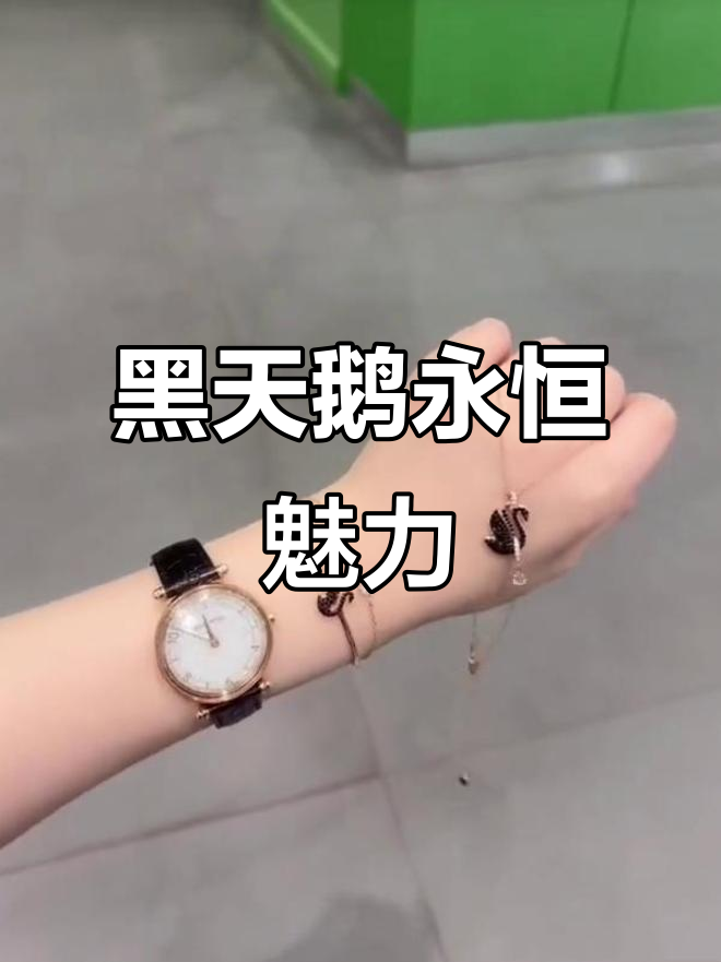 施华洛世奇黑天鹅手表，经典优雅永不过时