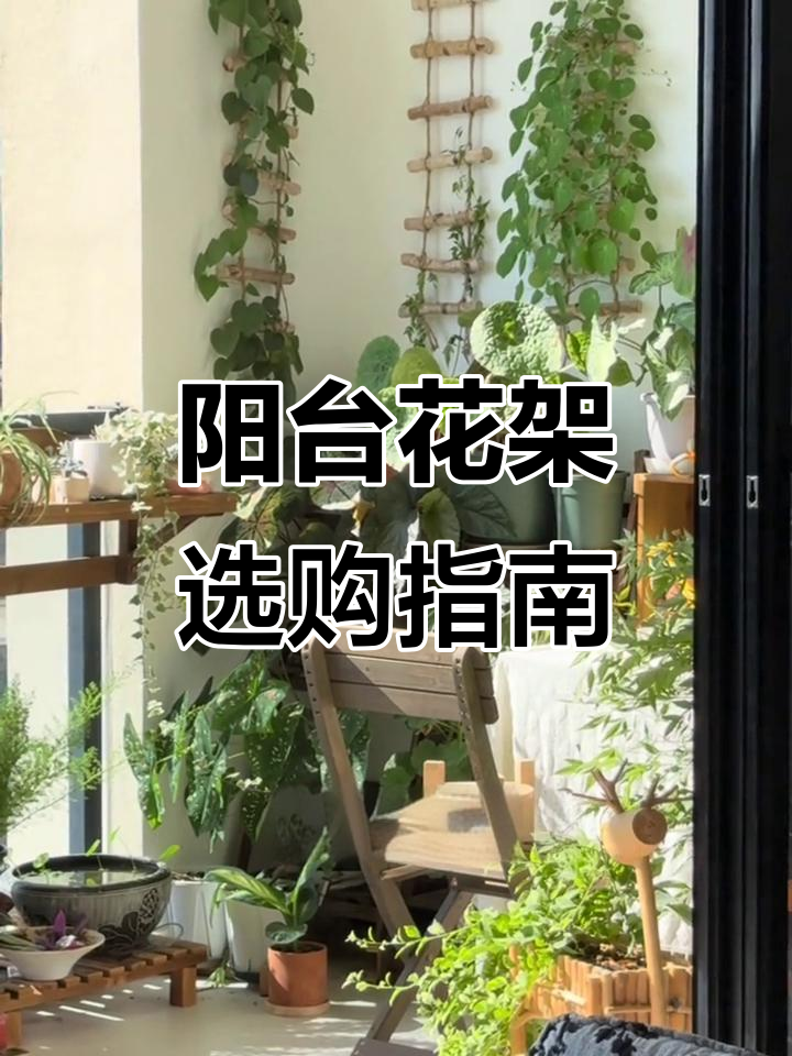 五款阳台花架大测评,哪种最适合你?