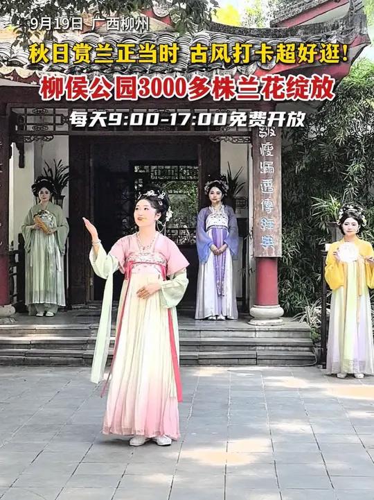 9月19日广西柳州,秋日赏兰正当时 古风打卡超好逛!柳侯公园3000多株兰花绽放(记者:黄