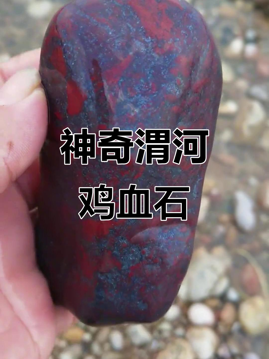 陕西渭河鸡血石:大自然的神秘馈赠,石头中的奇迹