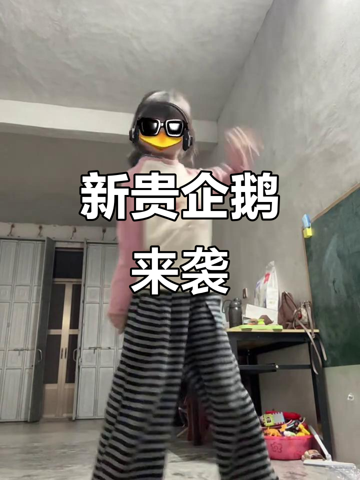 企鹅家族新成员,表情包界的新宠儿