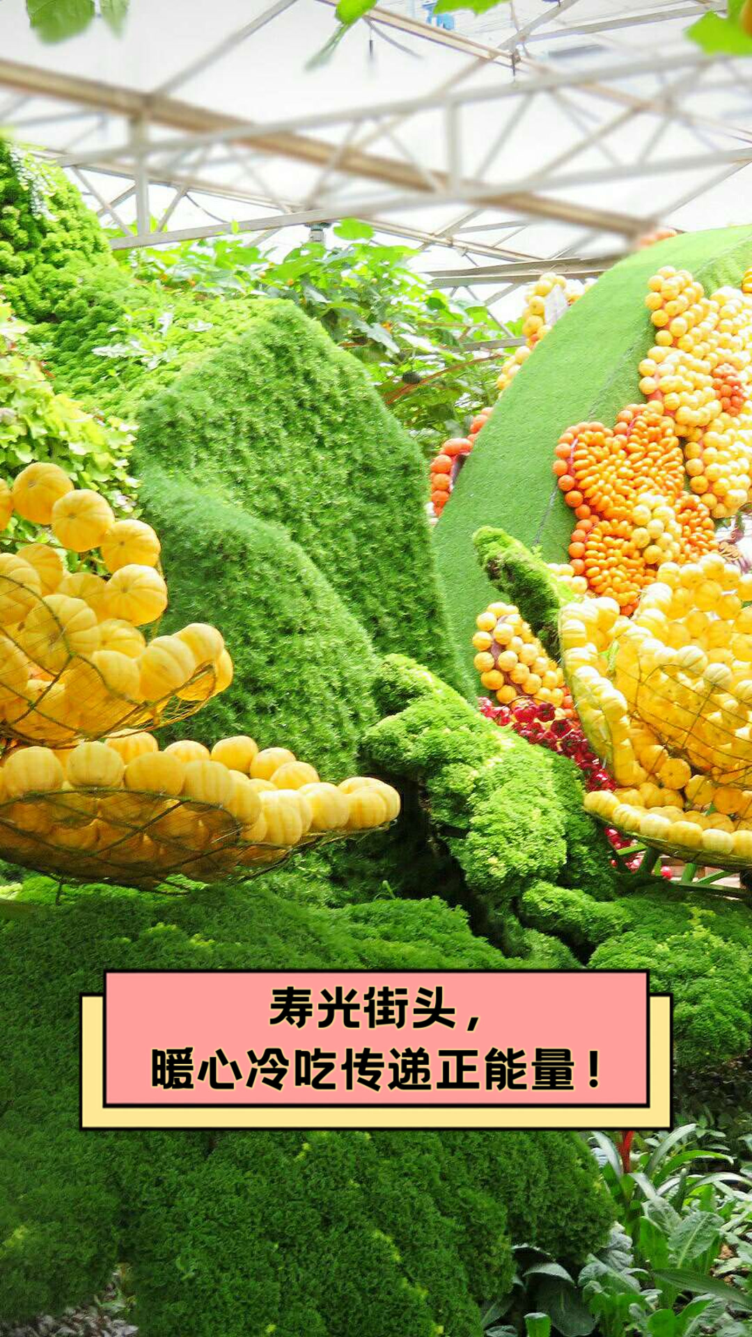 寿光街头,暖心冷吃传递正能量!