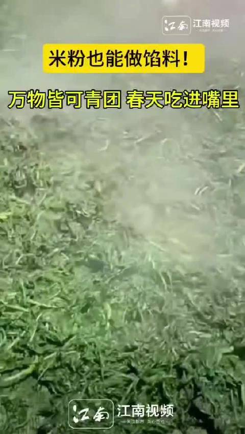 江西新闻看江南「万物皆可青团 原来米粉也能做馅料」清明临近,“糯叽叽”出场,南昌大街小巷都
