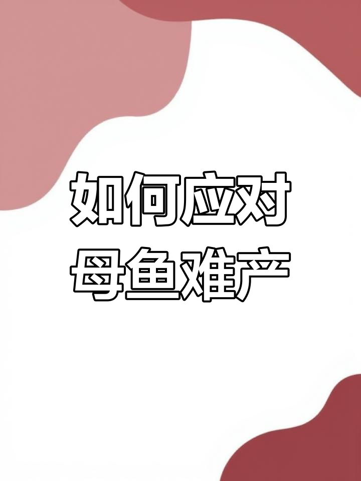 孔雀鱼难产怎么办？三招解决生死时速