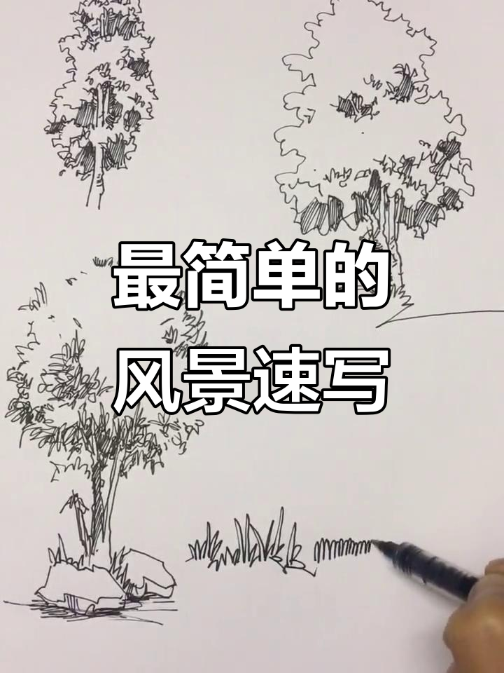 轻松画出简单风景速写,线条变化让草更有动感