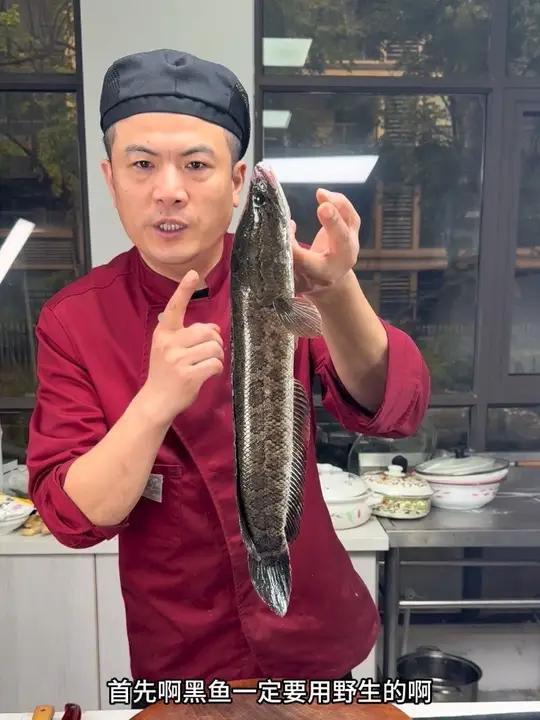 滋补黑鱼汤,营养丰富做法简单 我们一起学起来了吧