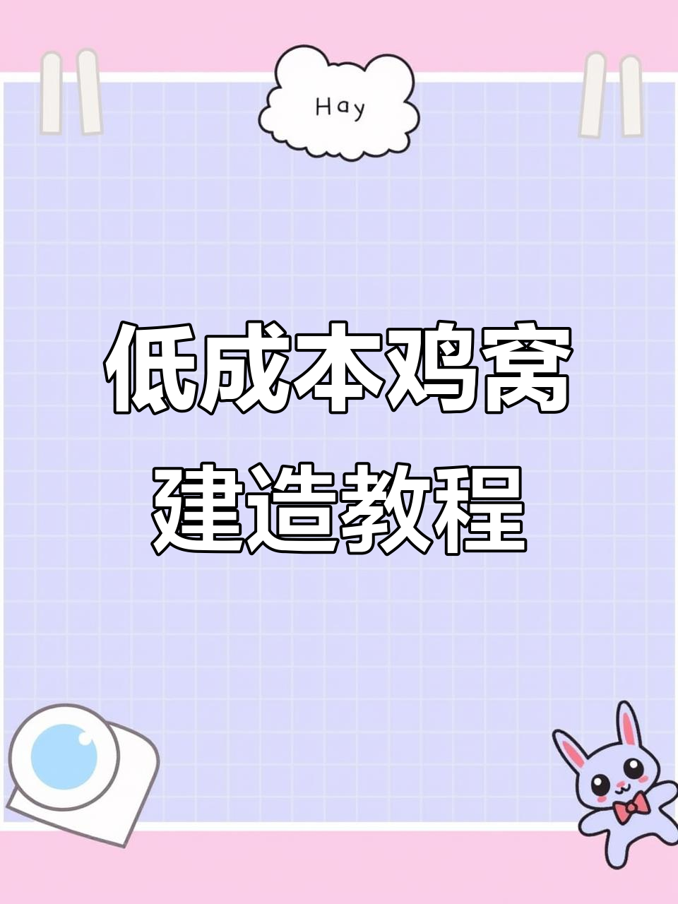 简单实用的鸡窝搭建技巧，成本不到200元
