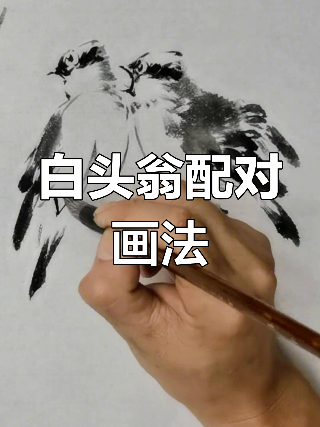 画白头翁,记得要成对哦!中国画的独特魅力