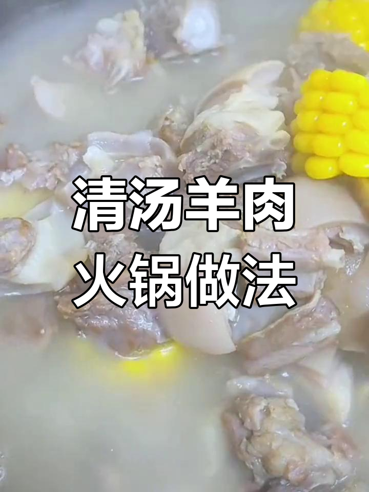 冬季羊肉火锅,滋补又暖心!白萝卜、红枣枸杞搭配更美味