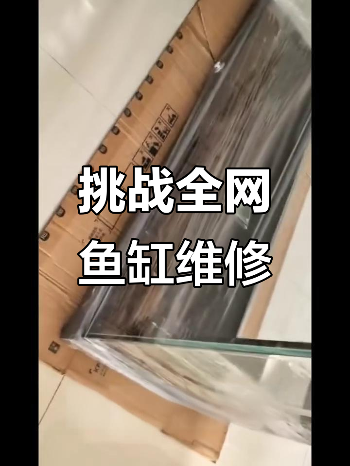 鱼缸底部玻璃更换全过程,拆解技巧大揭秘