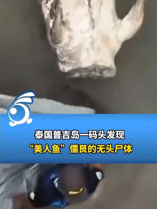 泰国普吉岛一码头发现“美人鱼”儒艮的无头尸体