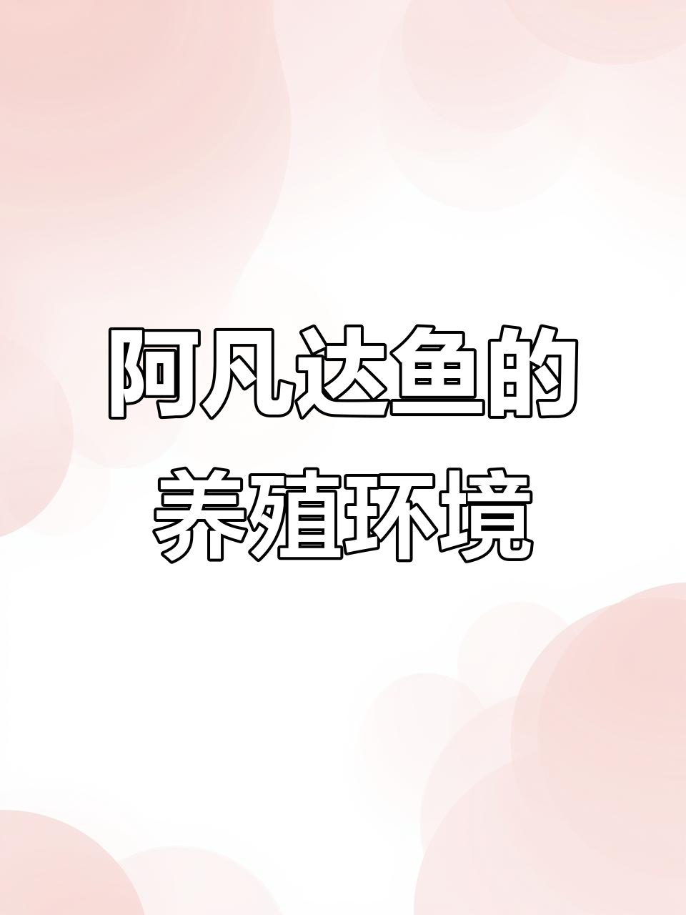 阿凡达鱼饲养技巧：水质、喂食与打架问题全解析