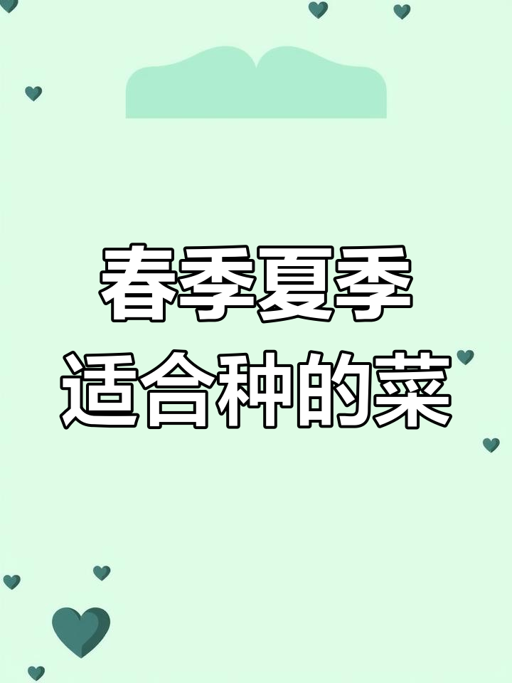 春天夏天种什么蔬菜最合适?瓜类必选!