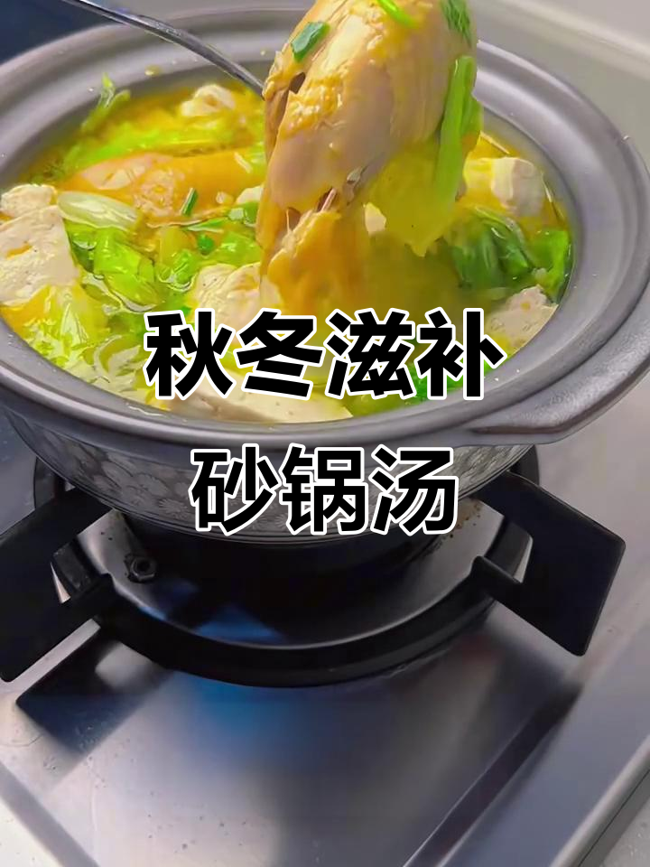 秋季暖心鸡汤，砂锅慢炖老豆腐与鸡肉