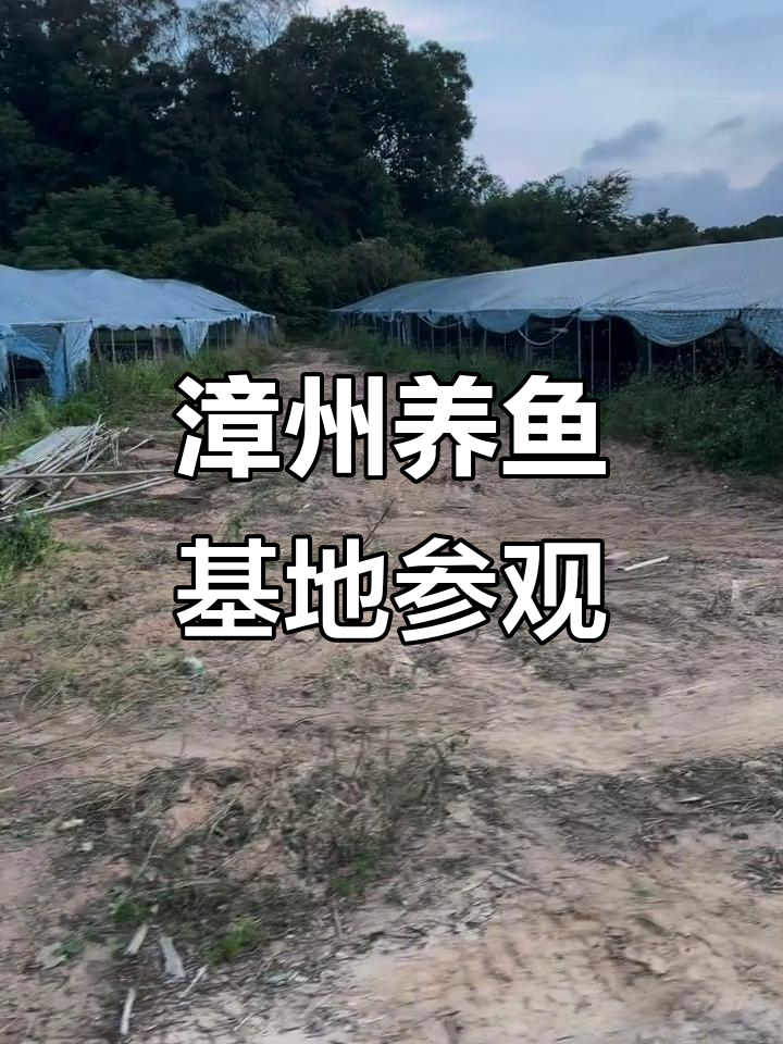 福建漳州养殖基地探秘，观赏鱼批发中心大揭秘