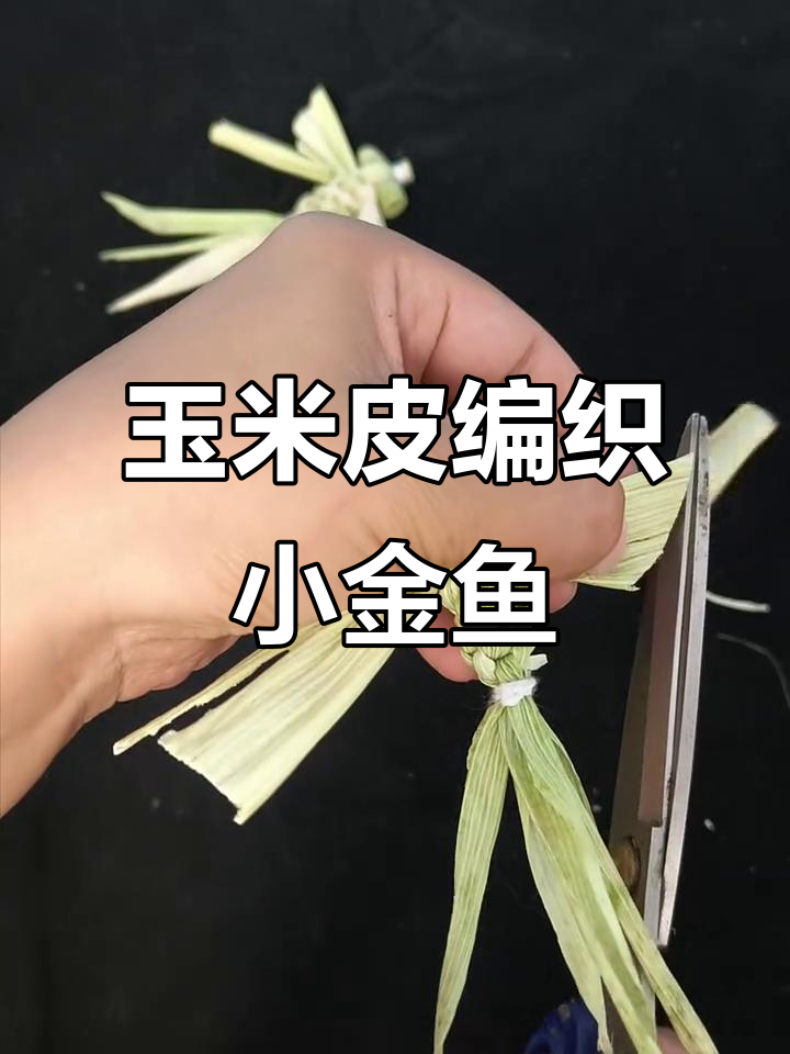 玉米皮变金鱼,创意手工教程