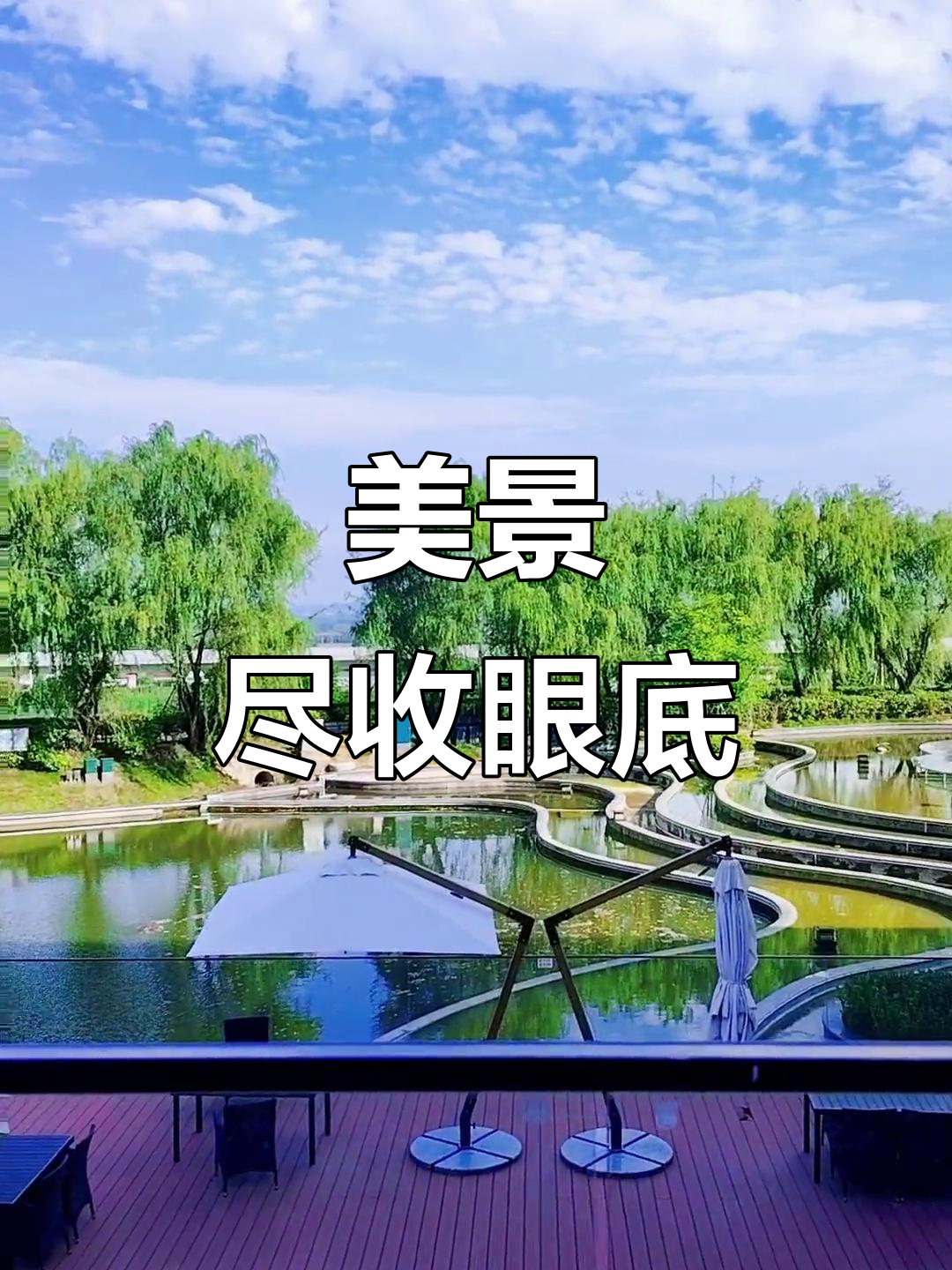 蓝天白云下的美景,流水与荷花的完美结合