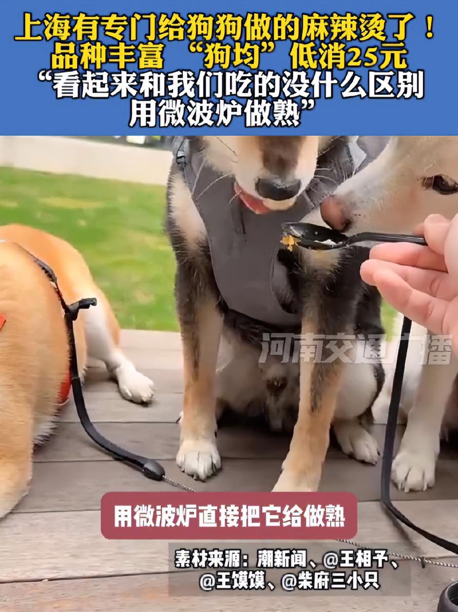 上海现狗狗麻辣烫,品种丰富,“狗均”低消25元