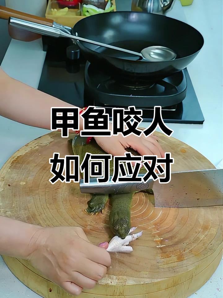 被甲鱼咬了怎么办?教你快速脱困的小技巧