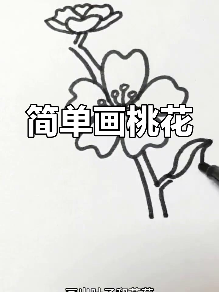 春日桃花简笔画教程