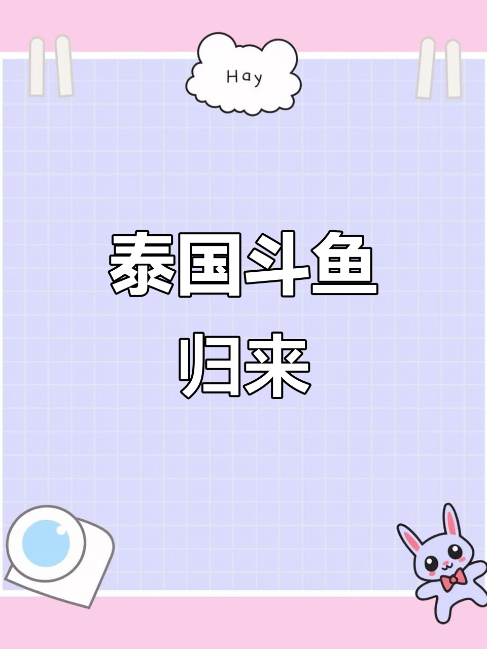 泰国斗鱼直播回归,精彩时刻不容错过