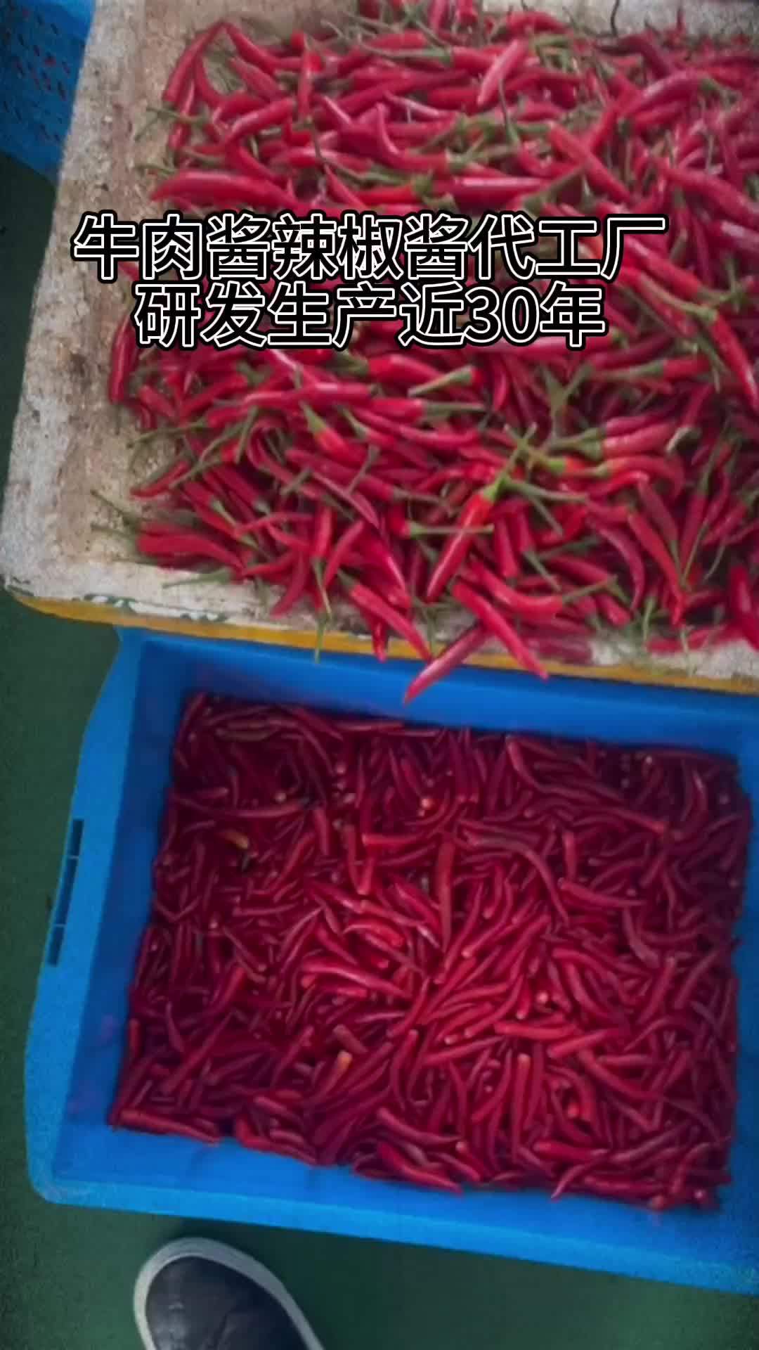 牛肉酱辣椒酱定制代工厂家