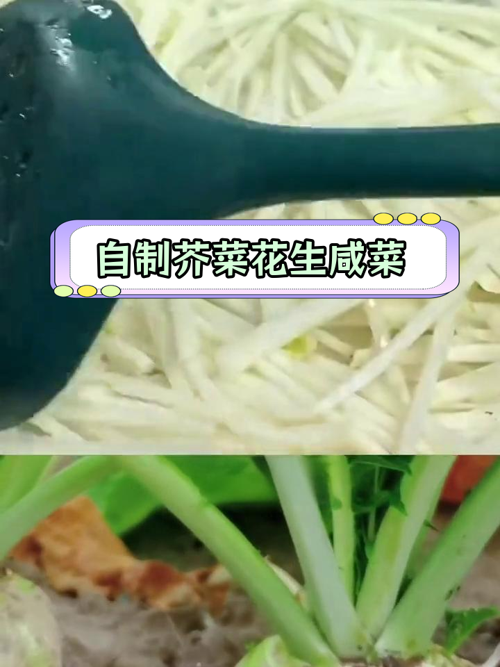 纯天然芥菜花生小咸菜的简单做法