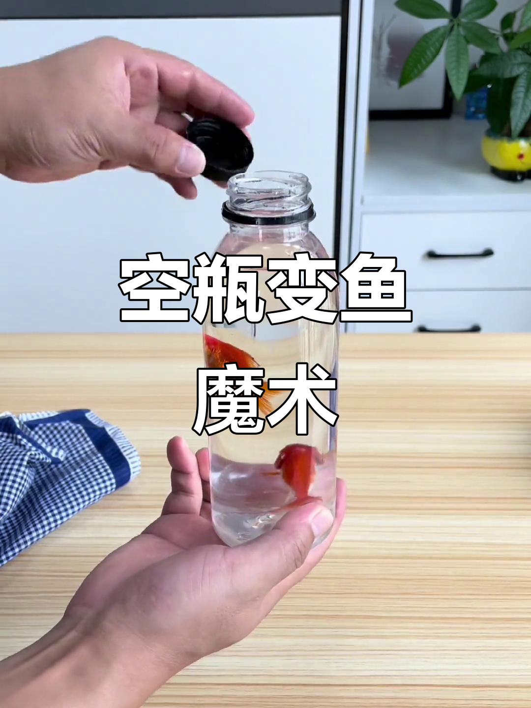 空瓶变金鱼,魔术原理大揭秘!