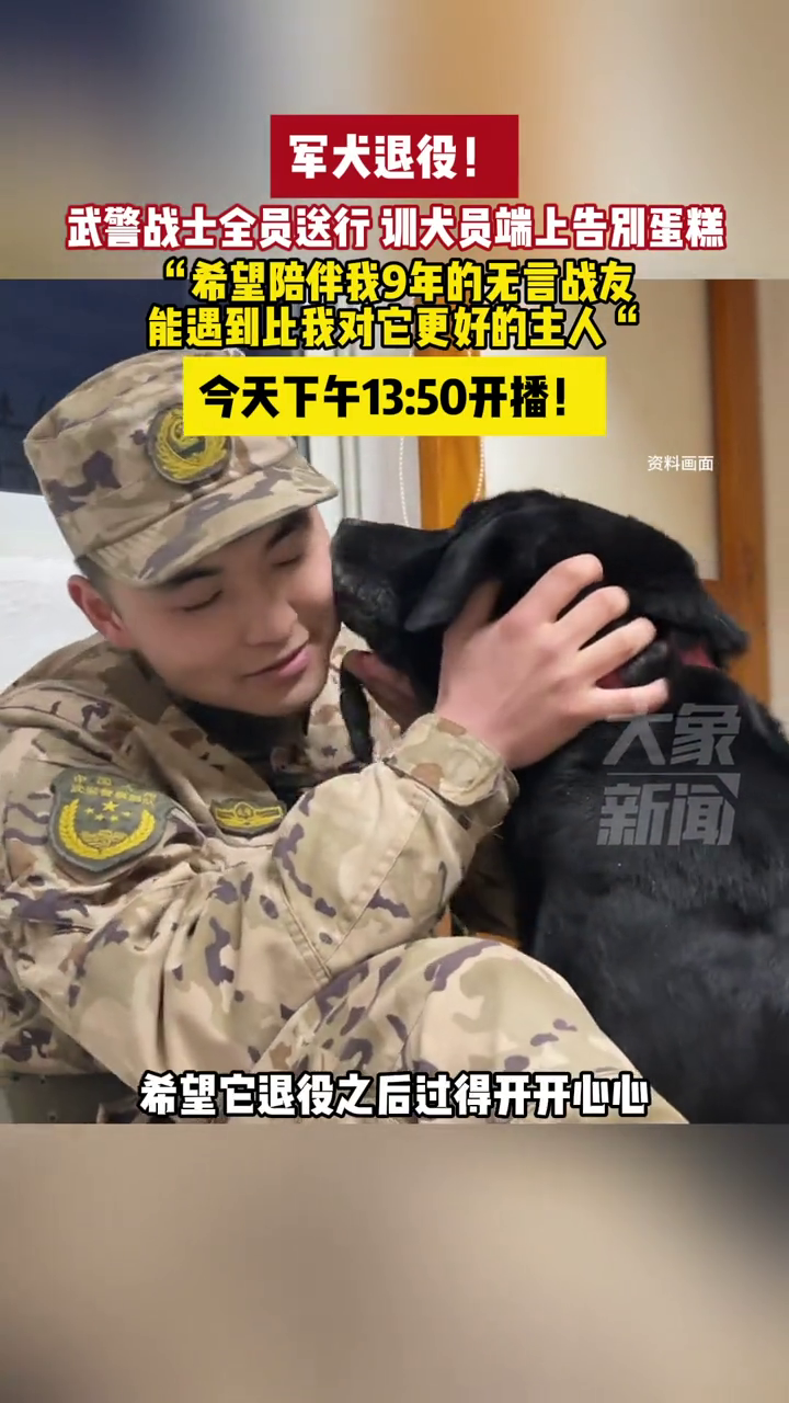 军犬退役!武警战士全员送行,训犬员端上告别蛋糕
