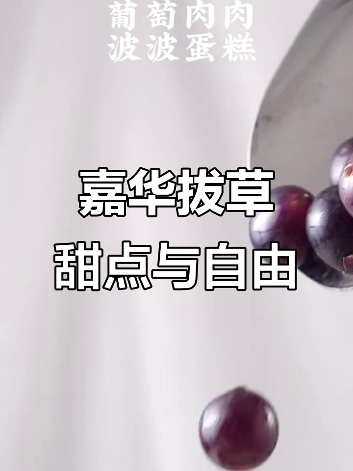 昆明嘉华蛋糕,葡萄控的甜蜜天堂!