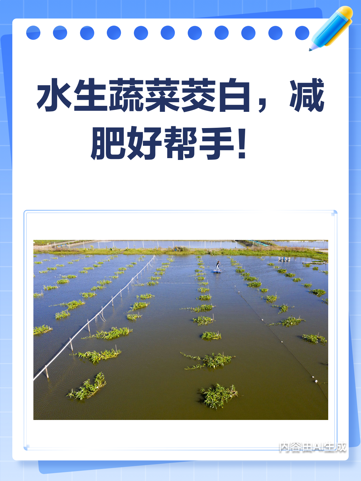 秋天减肥吃什么?这种水生蔬菜超给力!
