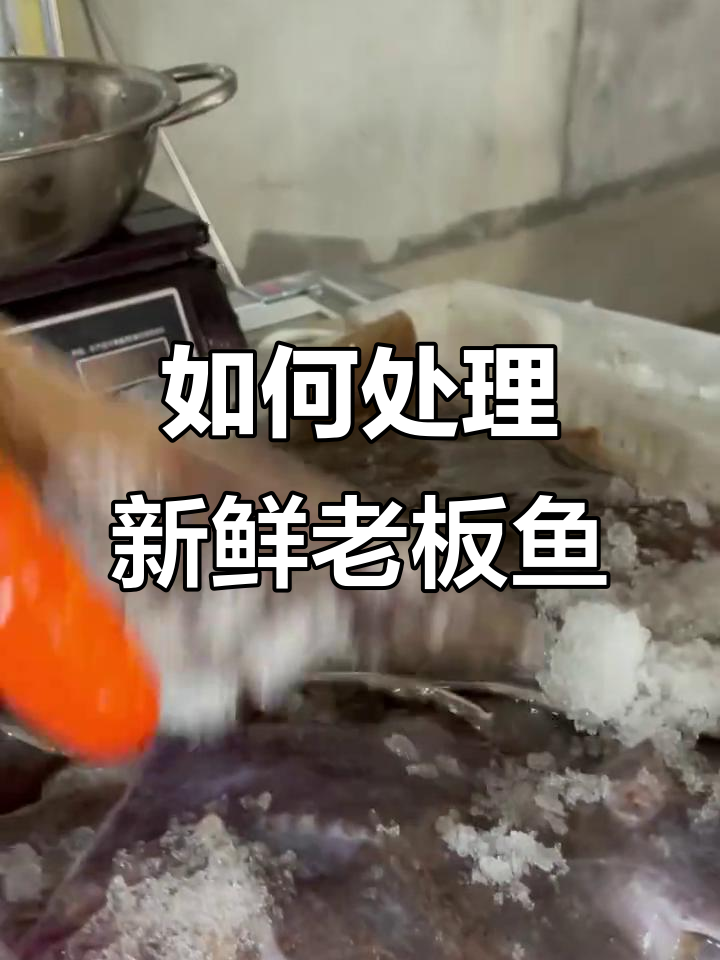 新鲜老板鱼,清洗技巧大揭秘!