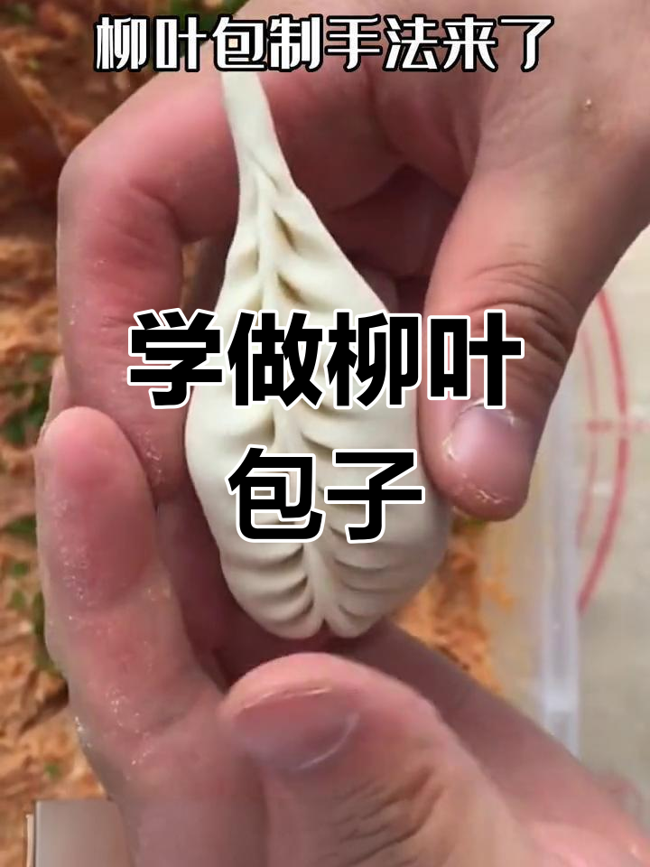 柳叶包子制作技巧大揭秘,教你一步步捏出完美形状