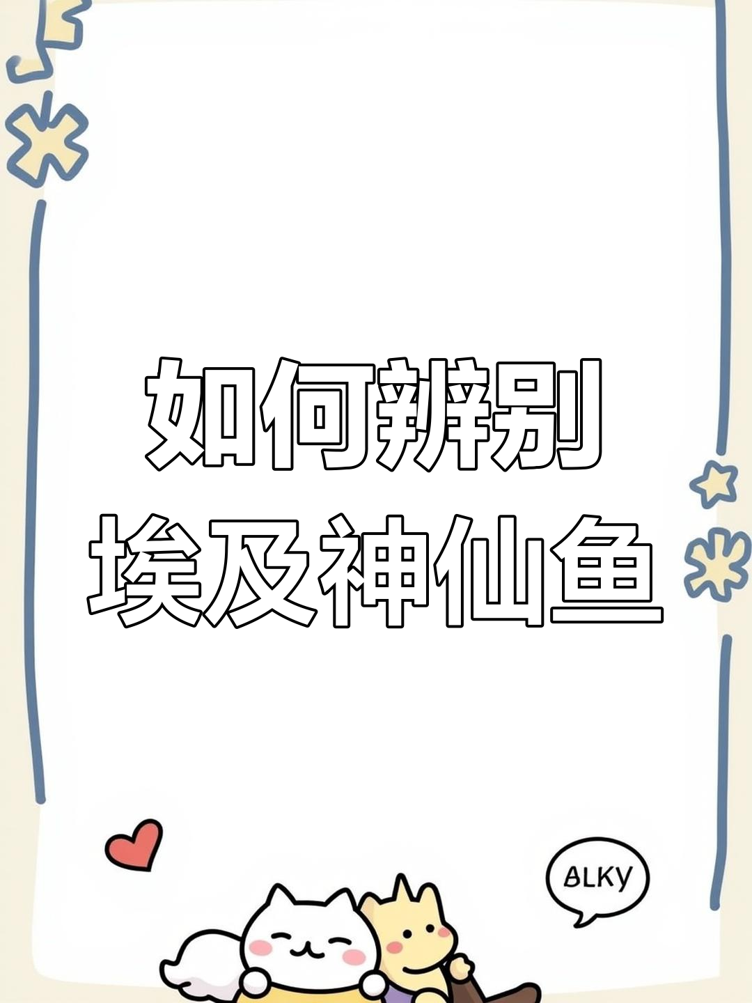 埃及神仙鱼F1分辨技巧