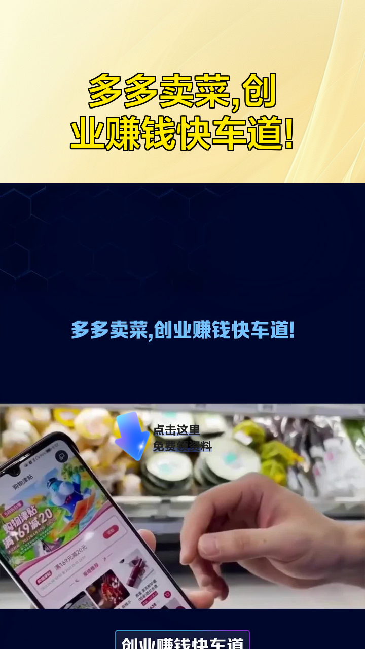 多多卖菜,创业赚钱快车道!