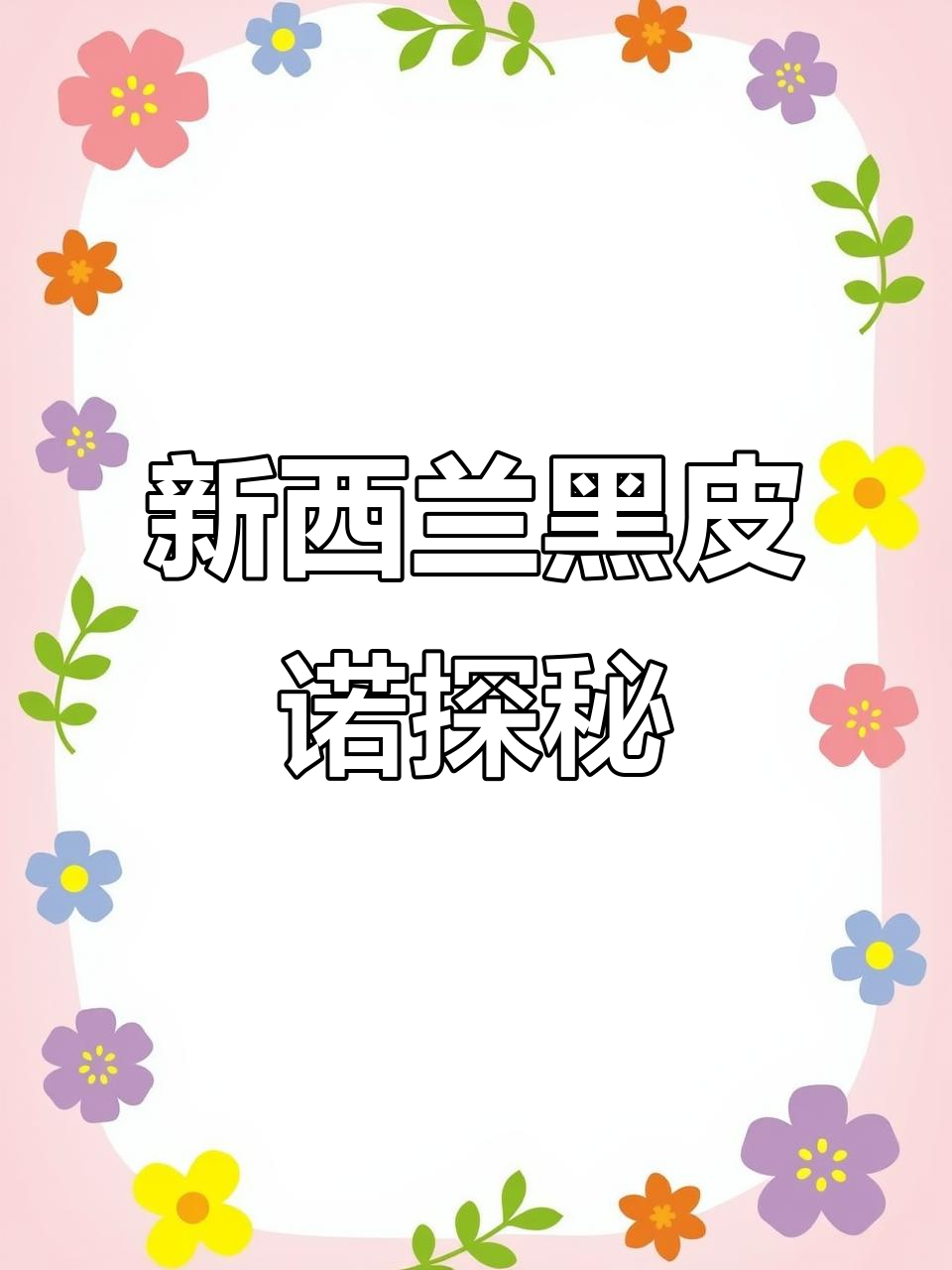 新西兰马丁堡的黑皮诺:独木方舟的独特魅力