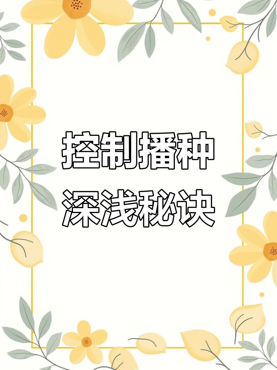 玉米播种器深度调节技巧,掌握土壤干湿度控制