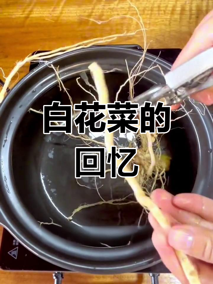 儿时常见的野菜,白花龙蔡,你那儿有吗?